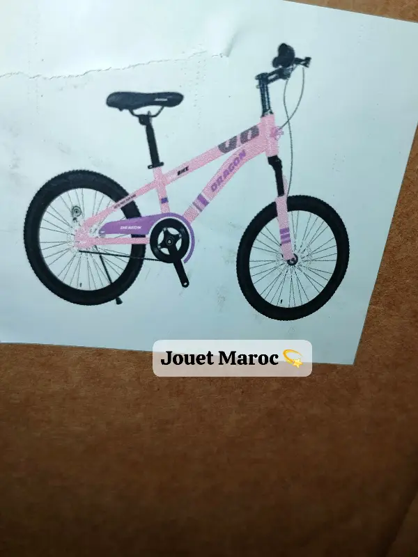 Velo Vtt Dragon 20 pouces coleur rose