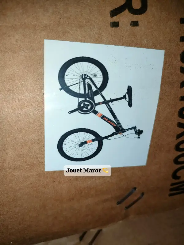 Velo Vtt Dragon 20 pouces coleur noir