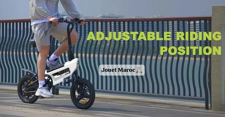 Vélo électrique A Vaster World A01