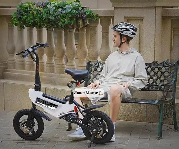 Vélo électrique A Vaster World A01 03