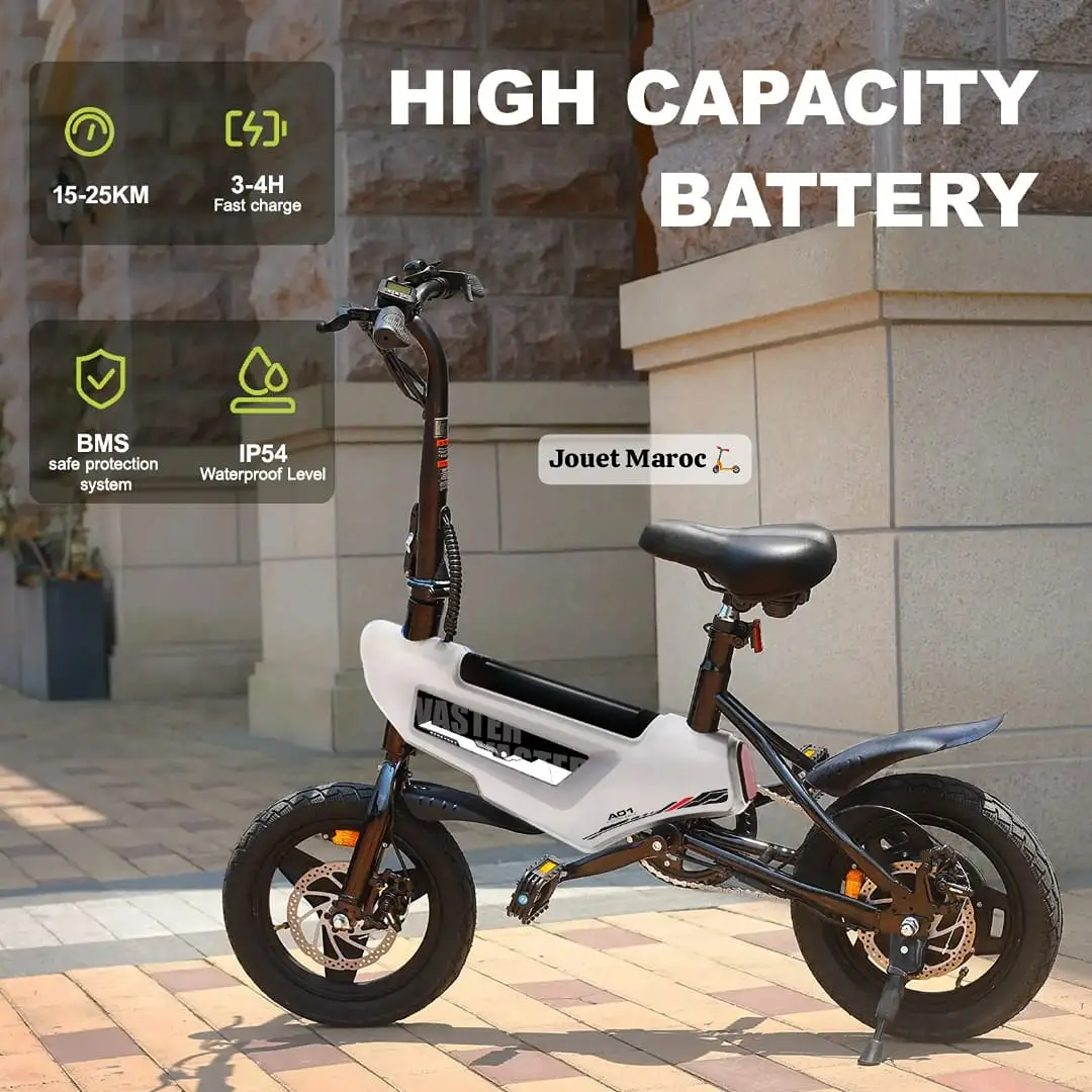 Vélo électrique A Vaster World A01 04