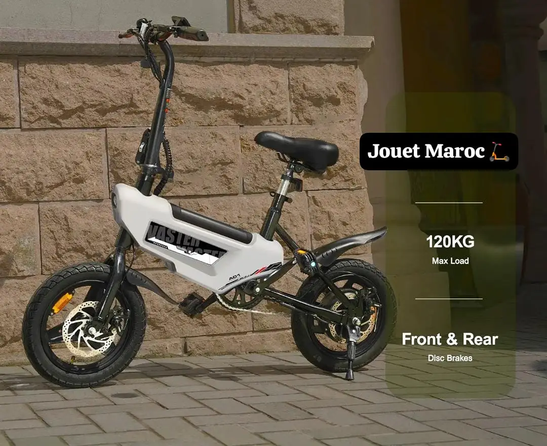 Vélo électrique A Vaster World A01 05