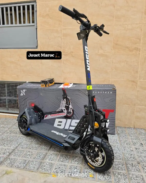 Trottinette électrique Bison Gt 1000 02