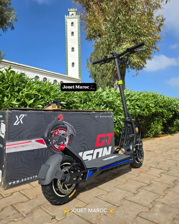 Trottinette électrique Bison Gt 1000 03