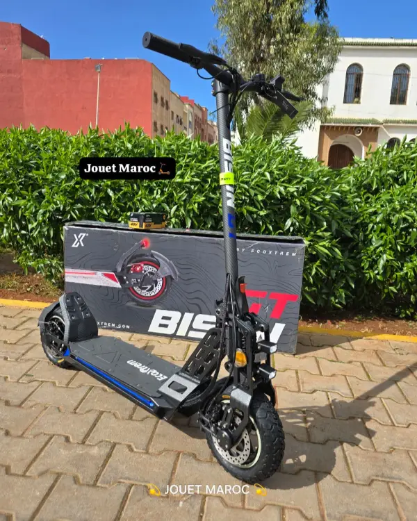 Trottinette électrique Bison Gt 1000 04