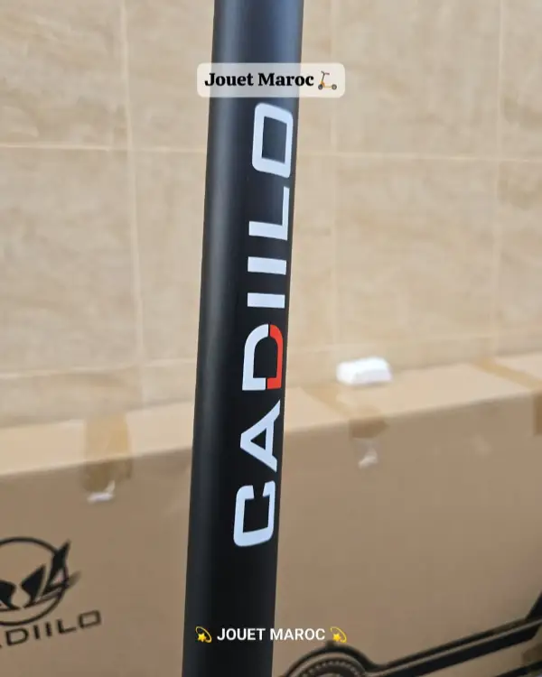 TROTTINETTE CADIILO T1 08