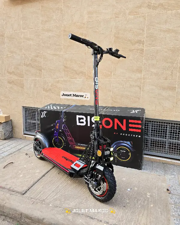 EcoXtrem Bison 800W 02