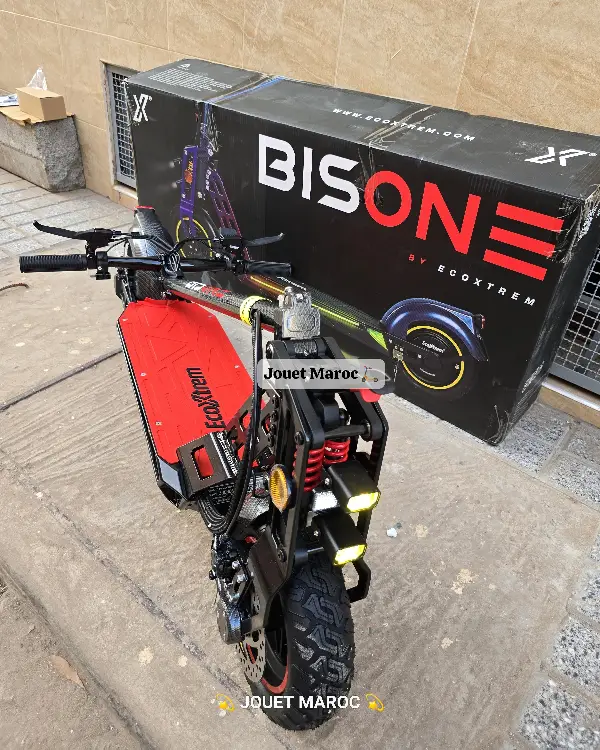 EcoXtrem Bison 800W 03