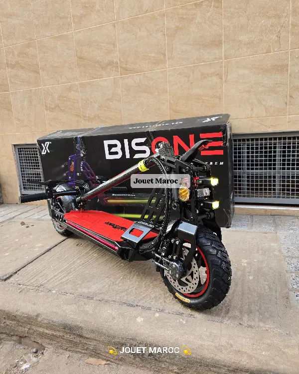 EcoXtrem Bison 800W 04