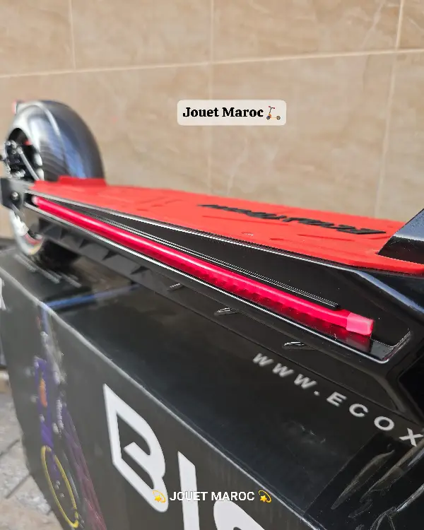 EcoXtrem Bison 800W 05