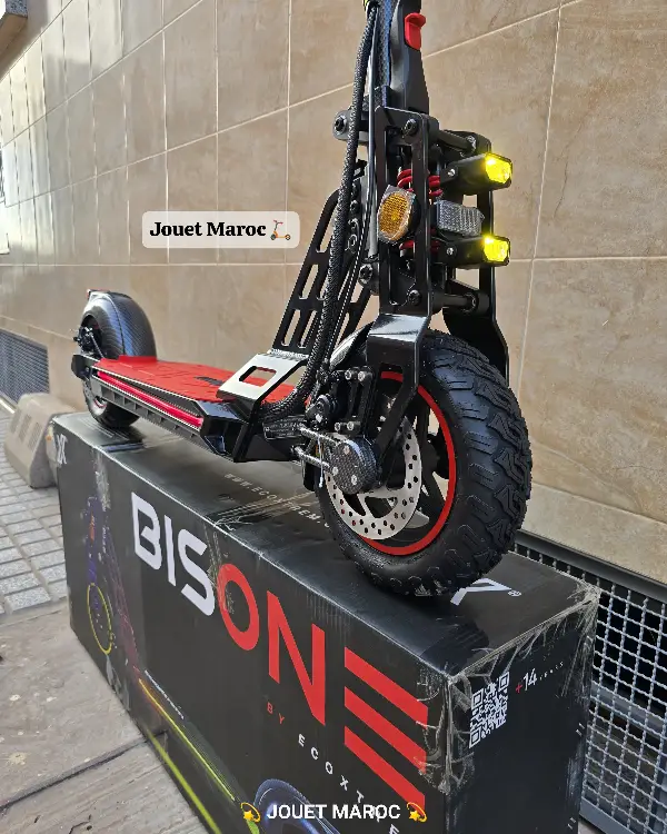 EcoXtrem Bison 800W 06