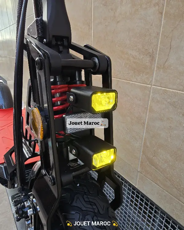 EcoXtrem Bison 800W 07