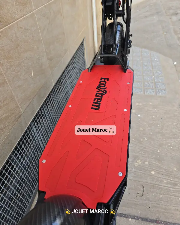 EcoXtrem Bison 800W 08