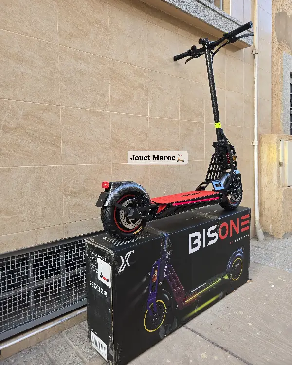 EcoXtrem Bison 800W 10