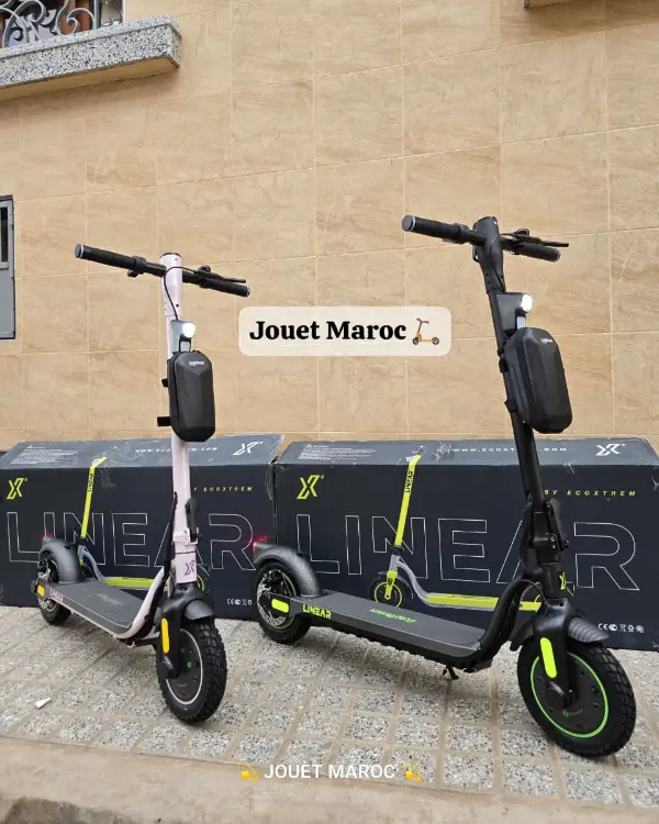 Trottinette Ecoxtrem Linear 02 