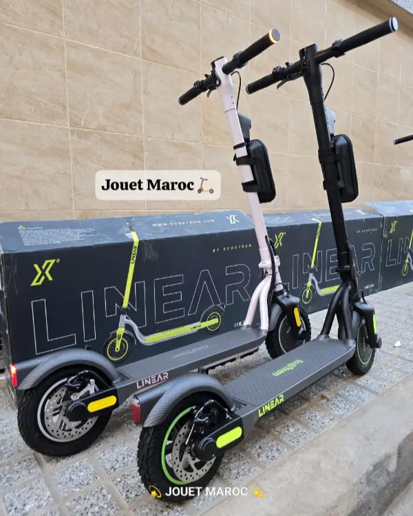 Trottinette Ecoxtrem Linear 03