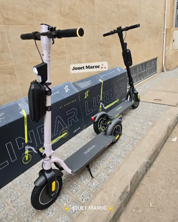 Trottinette Ecoxtrem Linear 04