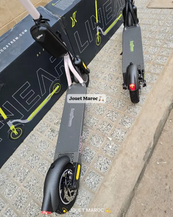 Trottinette Ecoxtrem Linear 05