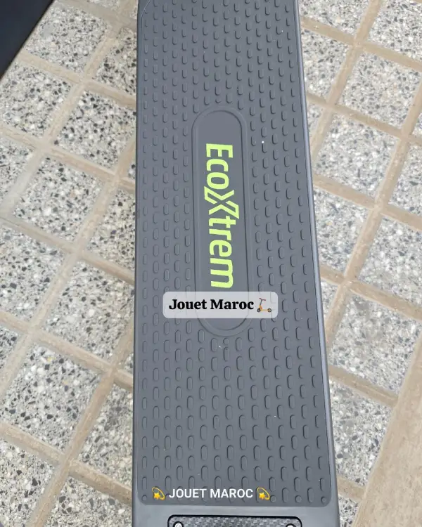 Trottinette Ecoxtrem Linear 06