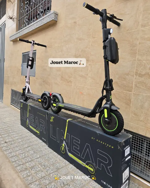 Trottinette Ecoxtrem Linear 07