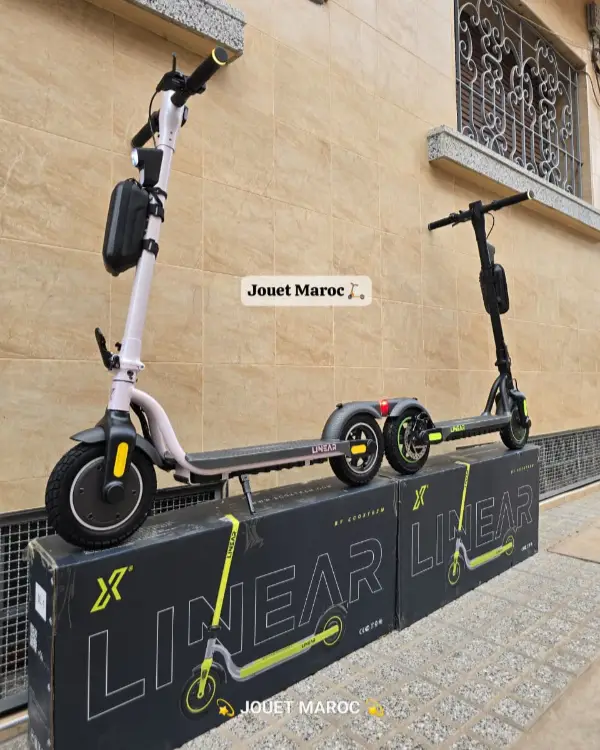 Trottinette Ecoxtrem Linear 08