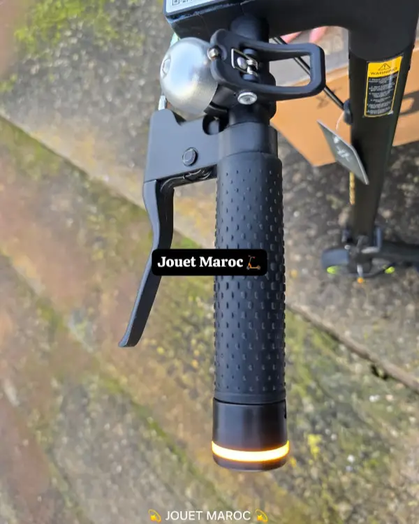 Trottinette électrique ECOXTREM PUCK 05