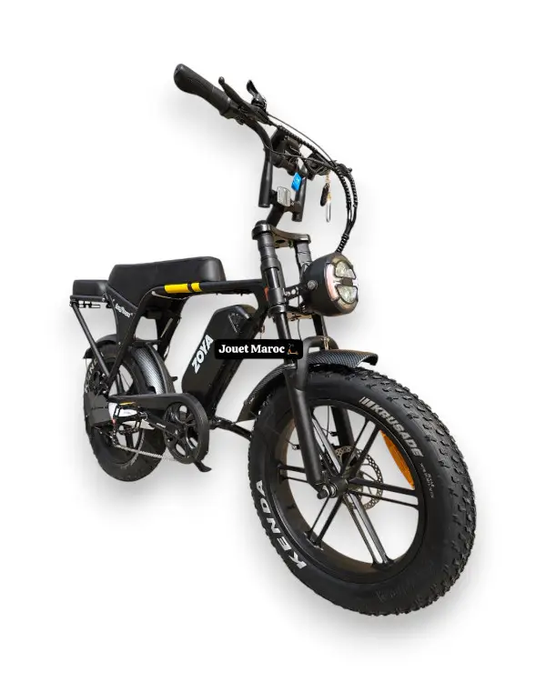 Vélo Électrique ECOXTREM ZOYA Harley