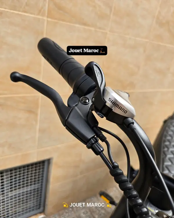 VÉLO ÉLECTRIQUE ECOXTREM ZOYA 08