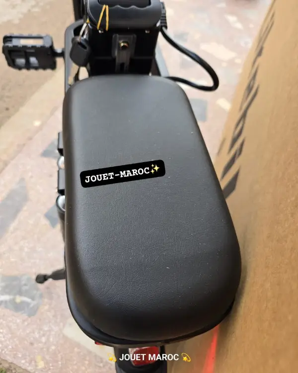 Vélo électrique likebike A10 Pliable 10 