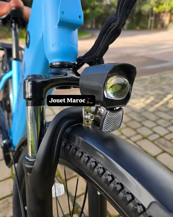 ️VÉLO ÉLECTRIQUE LIKEBIKE MY2 06