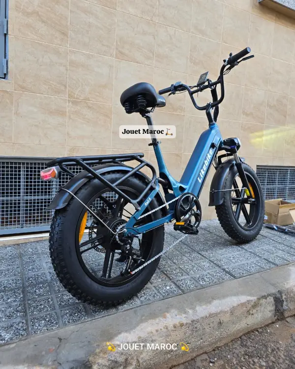 Vélo électrique likebike RAIL 5 03