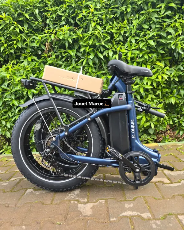 Batterie lithium amovible intégrée du vélo SHINE S PRO