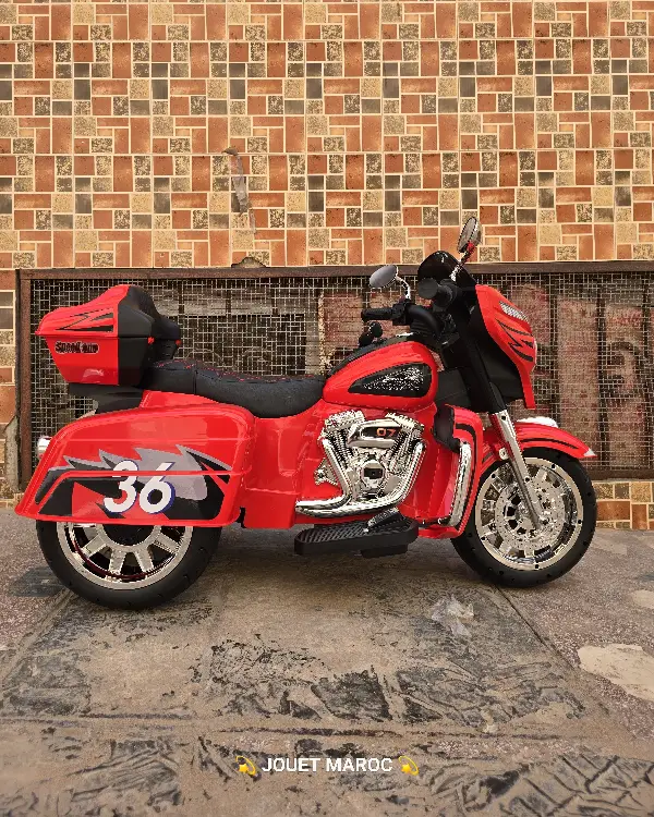 Moteur Quad pour Enfants 05