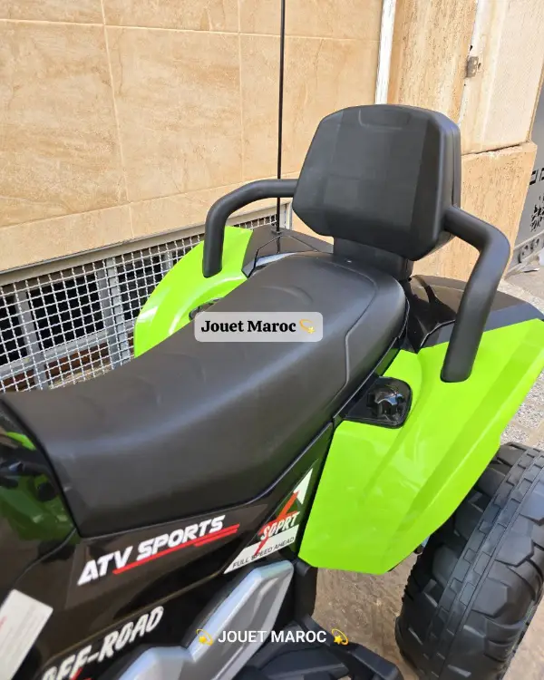Quad Électriques pour Enfants 08