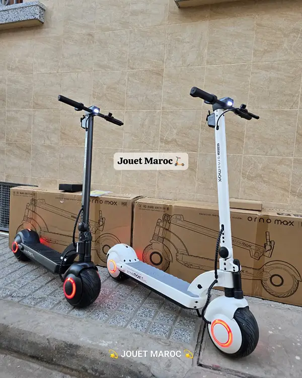 TROTTINETTE NEOZIN ORNO MAX 1000W 02