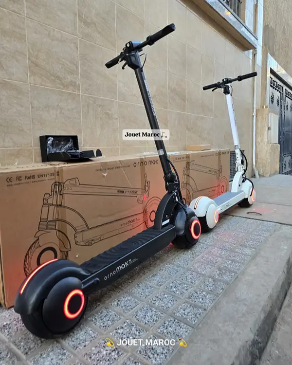 TROTTINETTE NEOZIN ORNO MAX 1000W 03