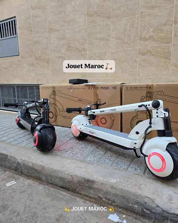 TROTTINETTE NEOZIN ORNO MAX 1000W 04