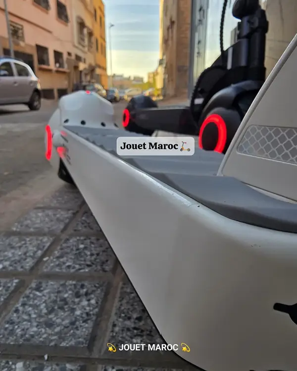 TROTTINETTE NEOZIN ORNO MAX 1000W 05