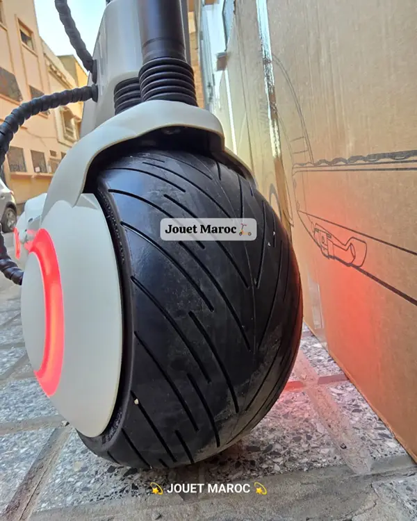 TROTTINETTE NEOZIN ORNO MAX 1000W 06