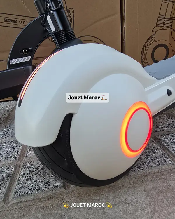 TROTTINETTE NEOZIN ORNO MAX 1000W 07