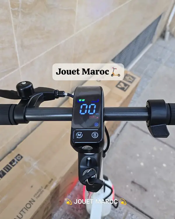 TROTTINETTE NEOZIN ORNO MAX 1000W 10