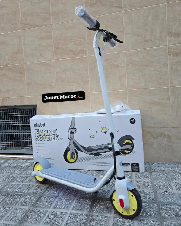 Trottinette électrique NINEBOT ZING C10 02