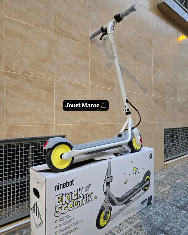 Trottinette électrique NINEBOT ZING C10 03