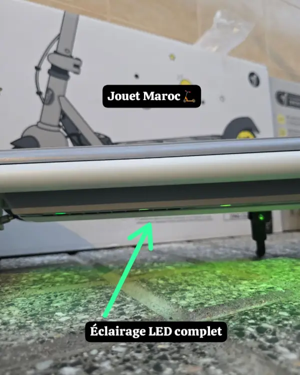 Trottinette électrique NINEBOT ZING C10 05