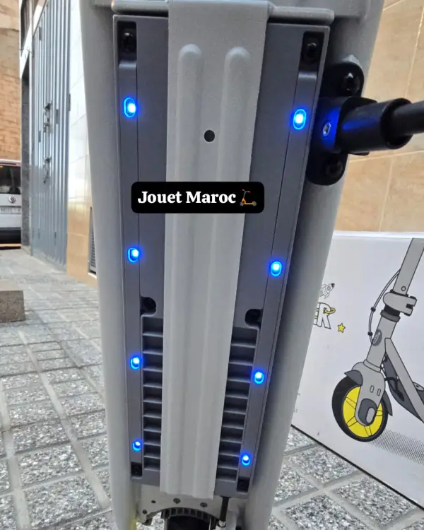 Trottinette électrique NINEBOT ZING C10 06