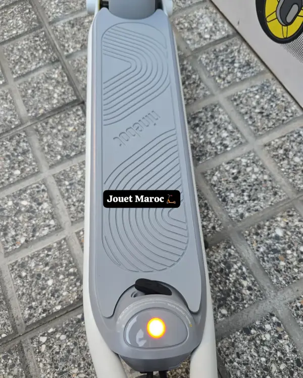 Trottinette électrique NINEBOT ZING C10 07