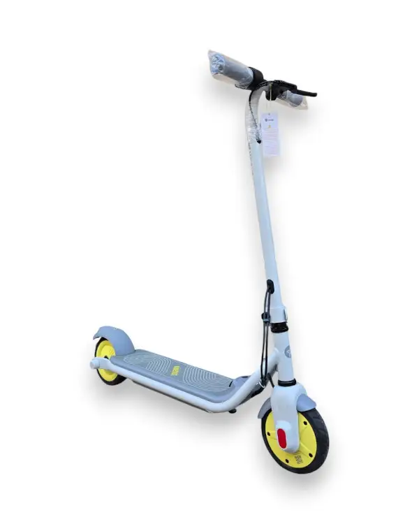 Trottinette électrique NINEBOT ZING C8