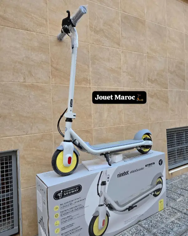 Trottinette électrique NINEBOT ZING C8 03