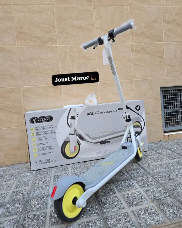 Trottinette électrique NINEBOT ZING C8 05