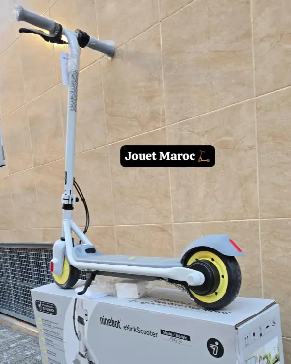 Trottinette électrique NINEBOT ZING C8 06